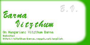 barna vitzthum business card